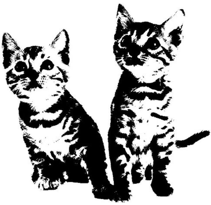 TWIN_CATS